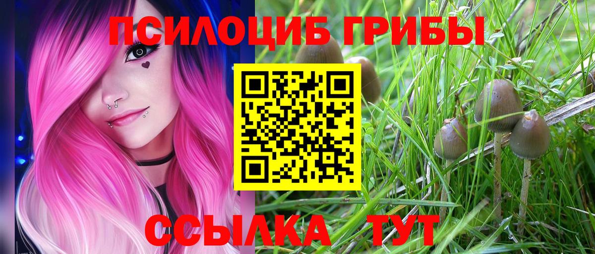 Псилоцибиновые грибы ЛСД Берёзовский