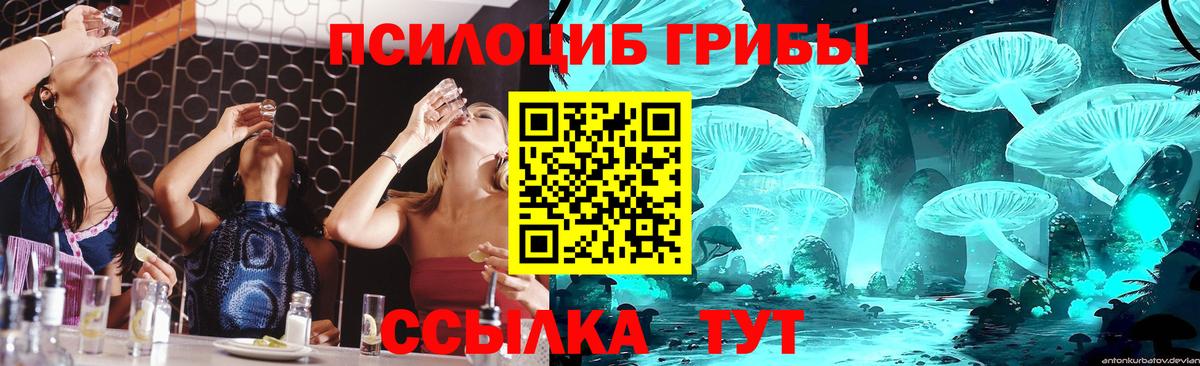 где можно купить наркотик  Берёзовский  Галлюциногенные грибы мицелий 