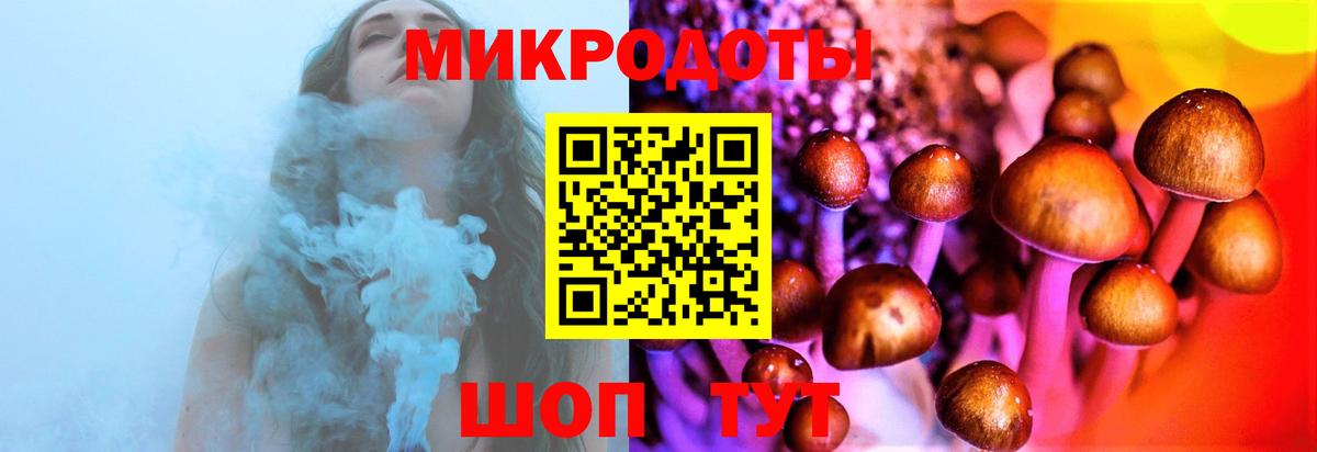 Галлюциногенные грибы GOLDEN TEACHER  Вход с VPN  Берёзовский 