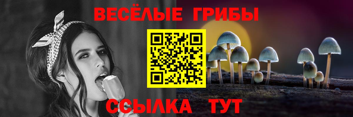 Псилоцибиновые грибы GOLDEN TEACHER Берёзовский